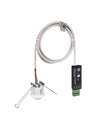 Ceiling built-in motion...